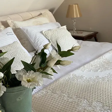 Bay Wynajem Domkow Swarzewo