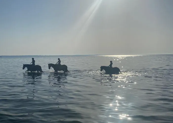 Bay Wynajem Domkow 度假居