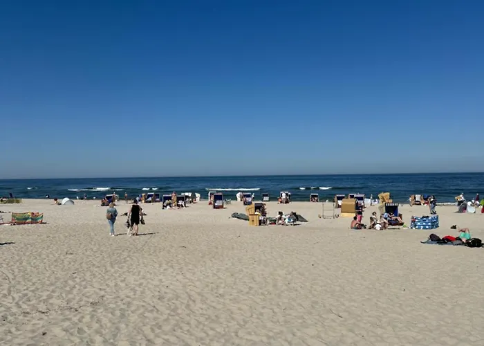 度假居 Bay Wynajem Domkow 斯瓦热沃